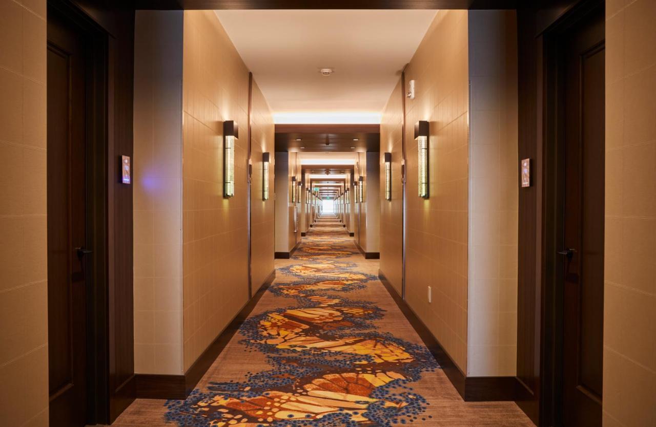 בלאק הוק Monarch Casino Resort Spa מראה חיצוני תמונה